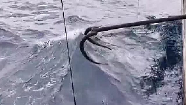 这个体积着实不小呢