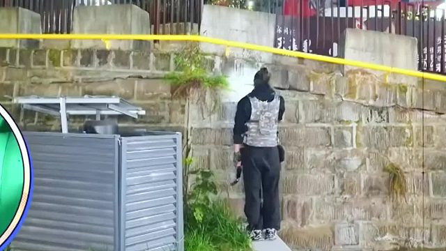 这不是我童年的躲猫猫!