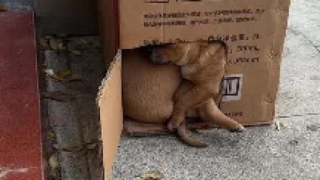 强启开机模式