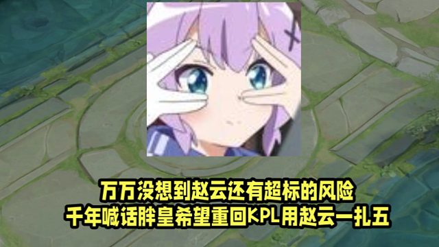 万万没想到赵云还有超标的风险！千年喊话胖皇希望重回KPL用赵云一扎五！