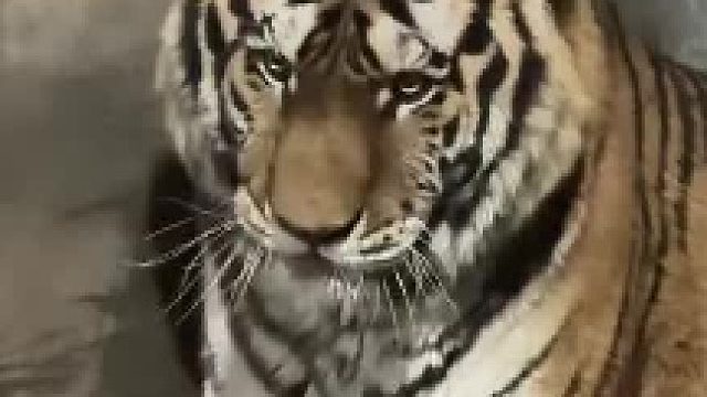 有进步，但是不多。