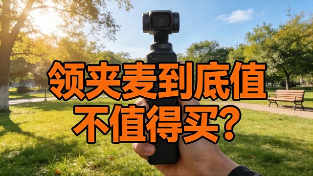 谁还在贵价领夹麦上吃亏？按价位选，性价比拉满