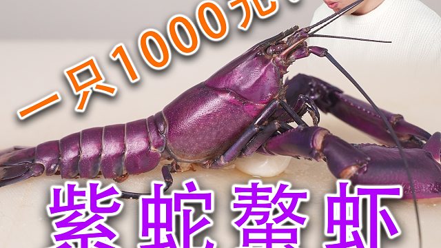 1000块一只小龙虾？翻大车了！