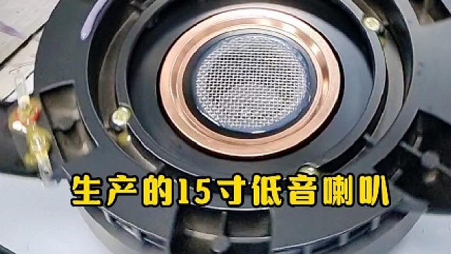 15 寸低音喇叭，为娱乐演出打造沉浸式震撼低音体验