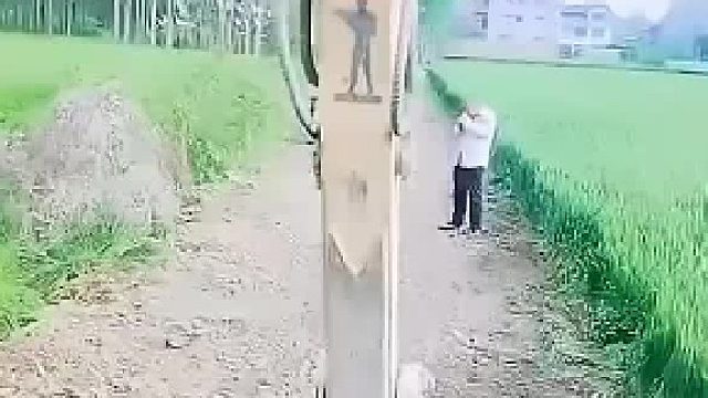 就不能收了再修路吗