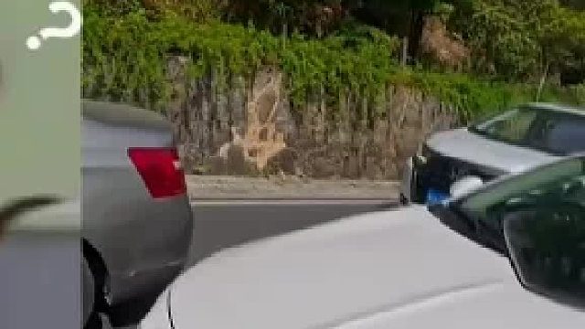 硬刚？白车逆行 摩托不躲 山路弯道直接撞上 被堵司机：不要超车了 你超了你全责 这事儿你怎么看？