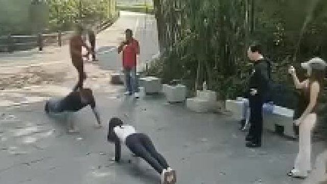 男的做的那个根本就不对