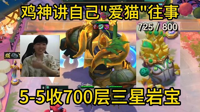香菇滑鸡：鸡神讲自己“爱猫”往事，700层收菜的一瞬间三星岩宝！