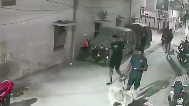 狗狗袭击路人，男子竟直接教训其主人