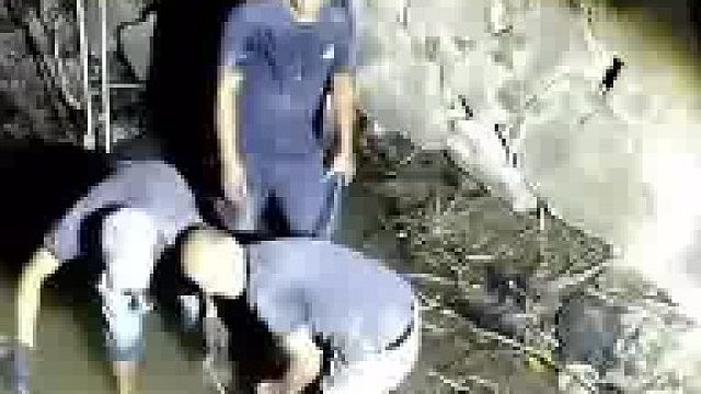 网友惊呼这手电筒也太牛了