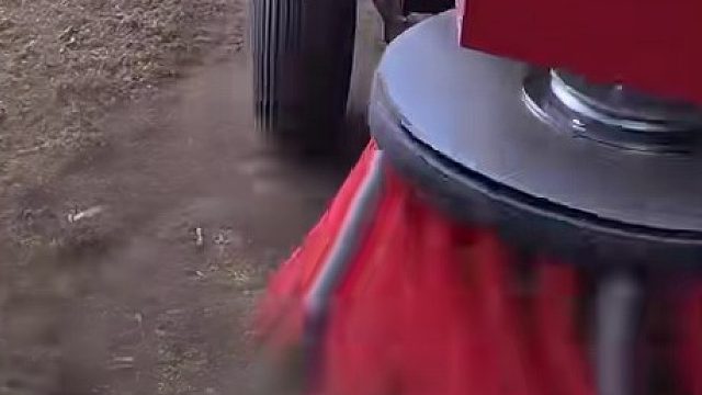 如何在几分钟内清除多年积累的苔藓和污垢！