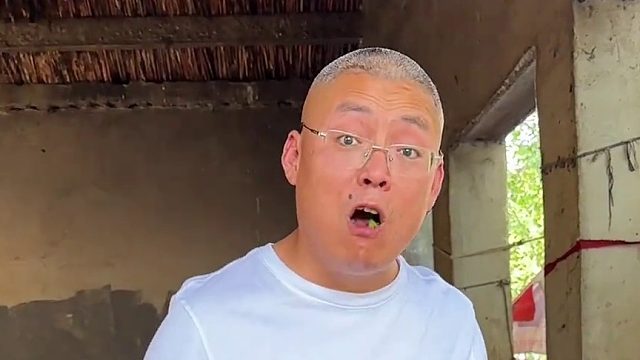 5元红烧豆角