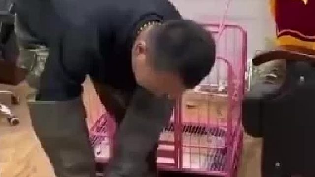 过去农村规矩，咬人即终结