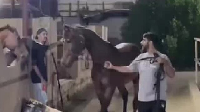 黑马王子相亲遇白富美？