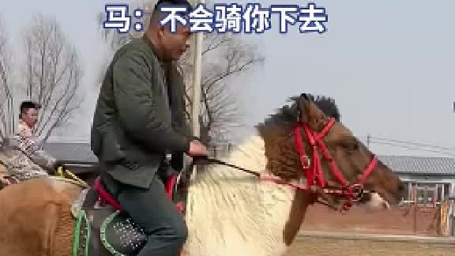 马：我是马，不是你马子，不是一样的骑法