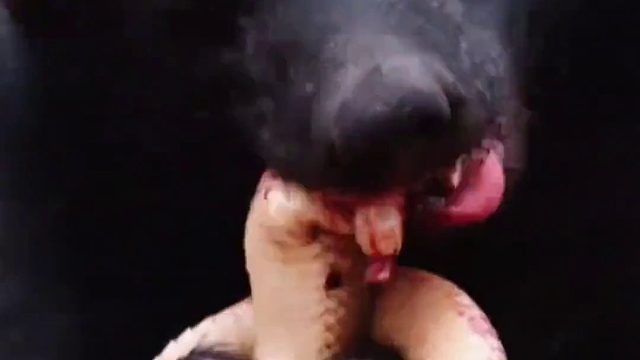 生死看淡不服就干的平头哥究竟有多牛？