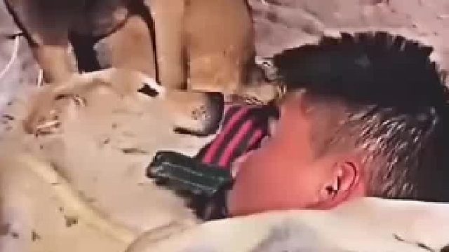 dog：你给了__母dog：他非要！