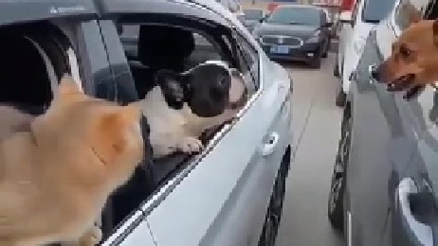 这技术，高！