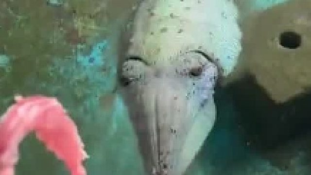 我有一计！