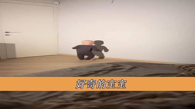 好奇的宝宝