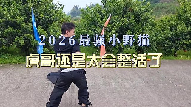 小小酷1995封号虎哥荣获2026最骚小野猫称号