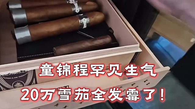 童锦程罕见生气，20万雪茄全发霉了！