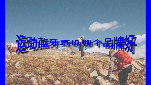运动蓝牙耳机哪个品牌好
