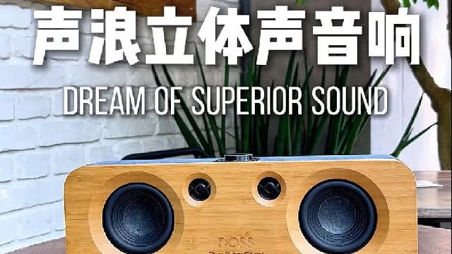 一席安放，满室动听！DOSS声浪原木音响
