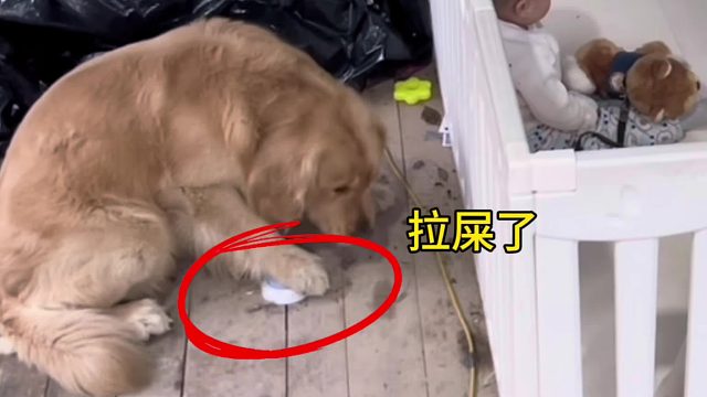 它后面张开嘴巴是什么意思？