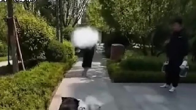 这是罗威纳吧