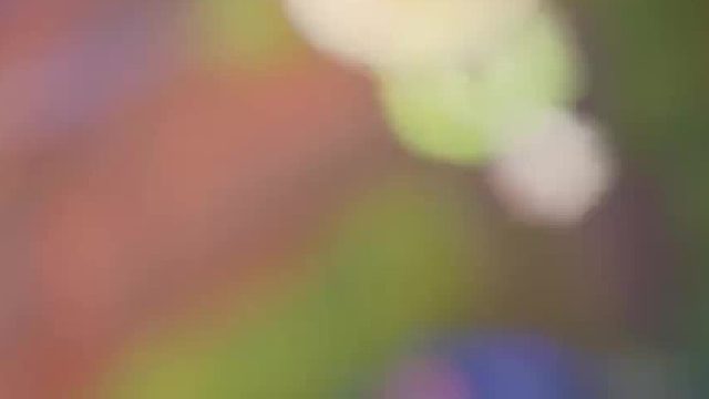 突击检查 腕豪的大招叫什么