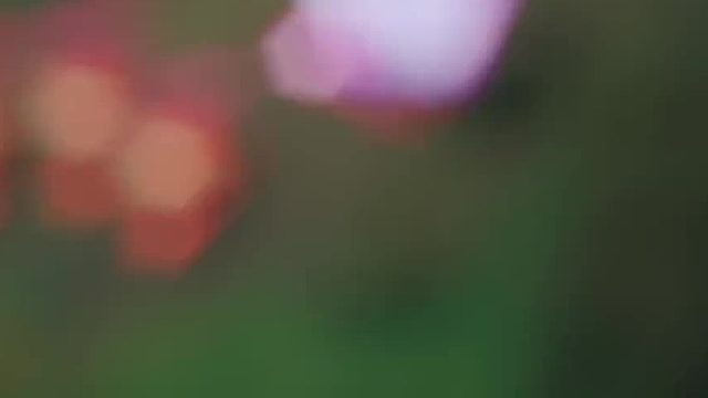 回不去的何止是时间#刀妹 #lol