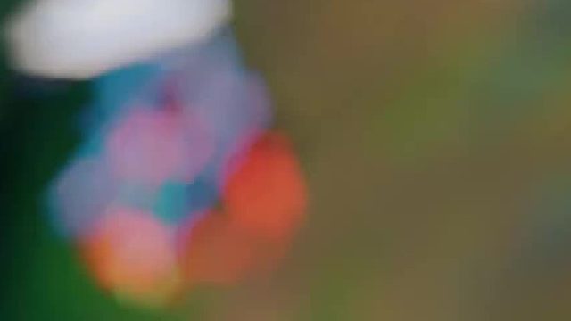 峡谷艺术  我是闪电