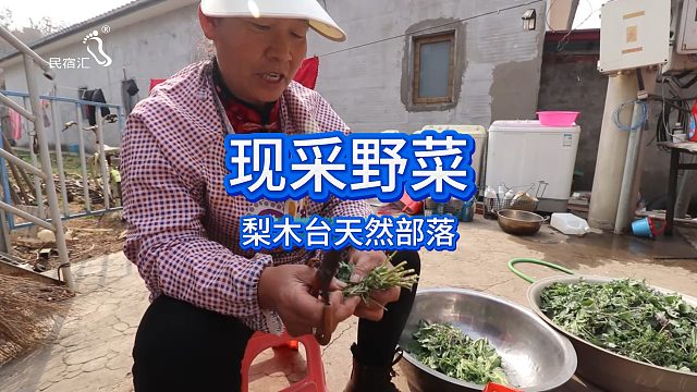 天津蓟州八仙山民宿天然部落农家院野菜现采-民宿汇