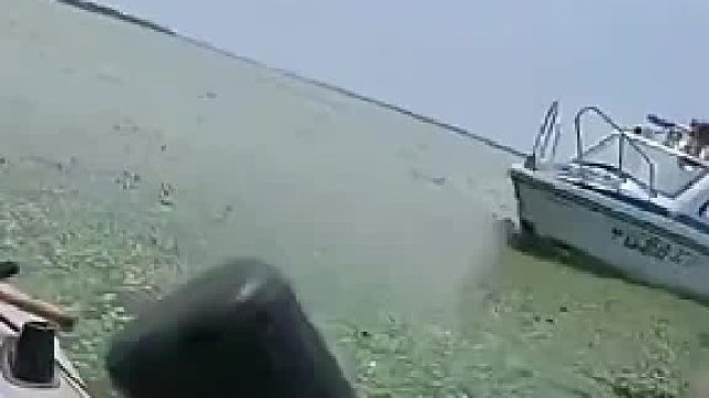 男子钓鱼时误入深处，被告知在岸边钓就行了，皮划艇太危险了