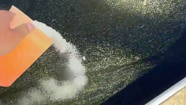 如何高效节能的清理家庭泳池 美国工人工各种工具及化学物品对泳池进行深度清洁，清理过程极度解压。