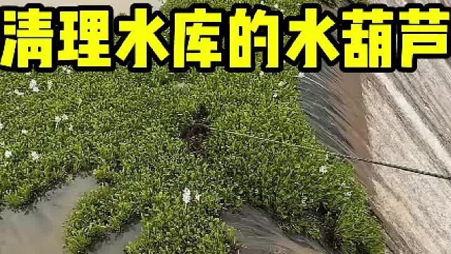 这工作看着简单，但其中危险重重！