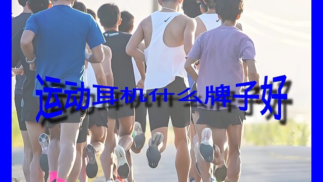 运动耳机什么牌子好
