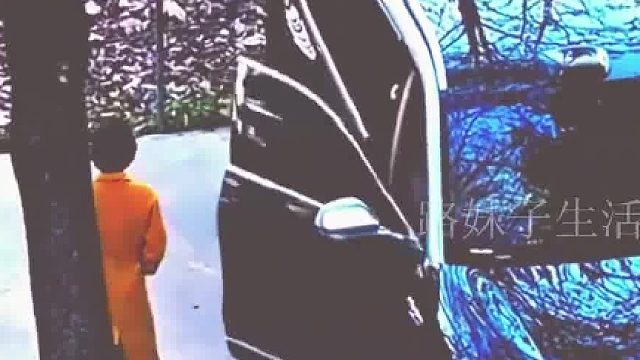 扶都不扶一下就进去了，抛开其他的不说，这肯定是个老司机！，，，，，
