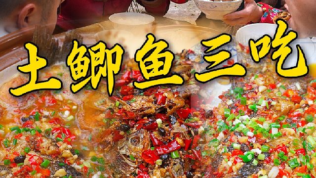 下雨天走水的土鲫鱼吃都吃不完，带兄弟们整一桌土鲫鱼三吃红烧香酥焖豆腐，你更喜欢哪个做法呢？