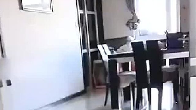 大狗想咬主人接下来这幕吓出一身冷汗!