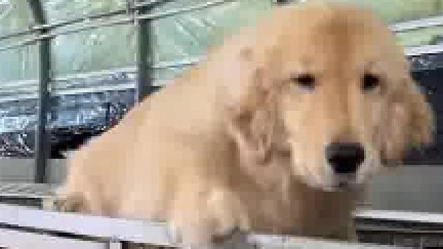 像极了上课偷小差被班主任逮到的样子
