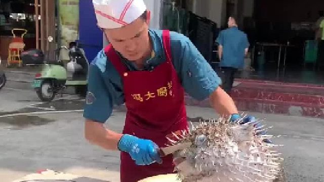 厨师处理大刺豚鼓鼓囊囊戳都戳不破…豚：不是哥们，玩不起？