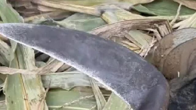 凡品的镰刀果然还是太弱了