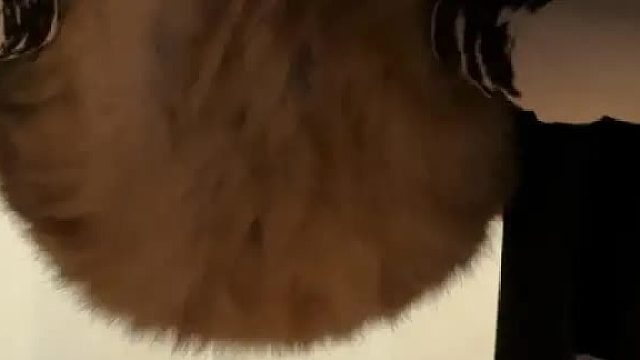 养生就找这个美女
