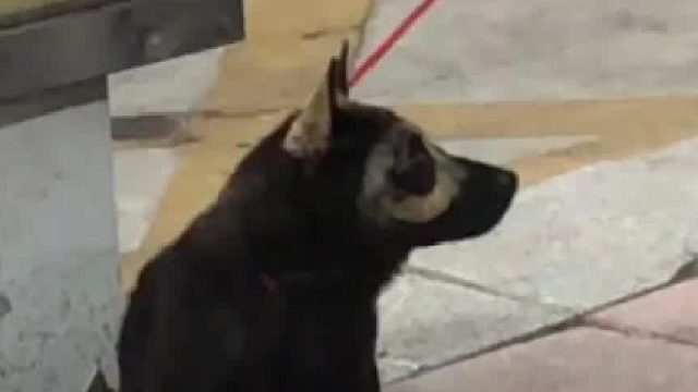 原来真的一眨眼就长大了