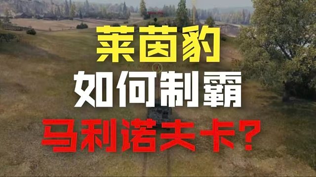 马利诺夫卡莱茵豹协助万伤特级分享