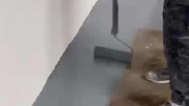 细节决定成败精修边角无缝贴合 线条笔直
