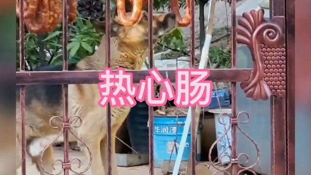 跟你有啥关系啊  这么欠呢