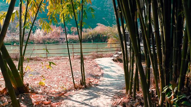 闯入英德竹林奇境，过几天神仙日子